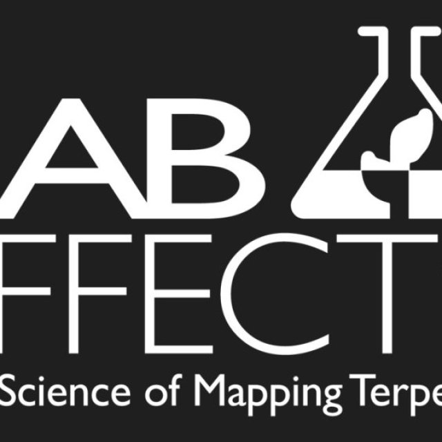 Lab Effects