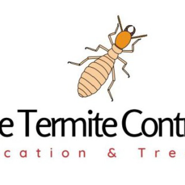 Brisbane Termite Control Service