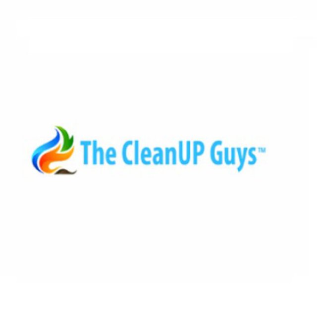 The CleanUP Guys - Professional Clean-up and Restoration Services in Chicago